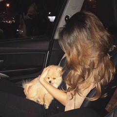 dj انساني روح