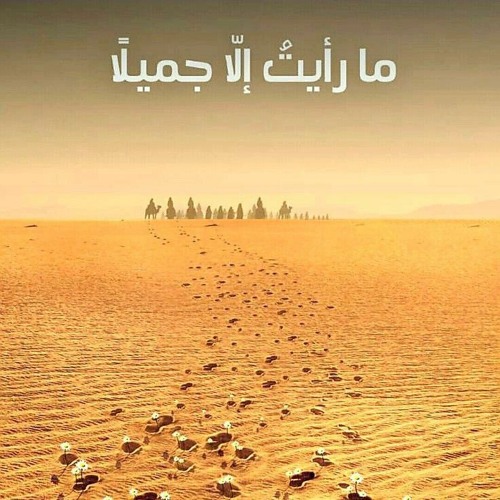 رأيت الجميل، أراني الجمال ...