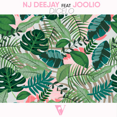 NJ Deejay ft Joolio - Dicelo