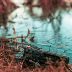 Sorry. I cant love you