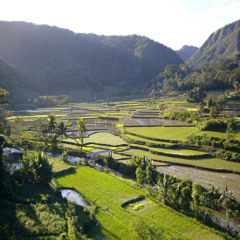 Musika ng Puso