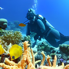 Is Scuba Diving in Andaman Safe