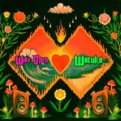 Disco Lines x Avaion - Wide Open x Wacuka (STIVE Mashup)