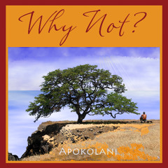 01 Why Not_