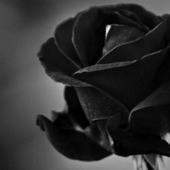 Skitish - Red Rose (Original mix) 2008-08-25