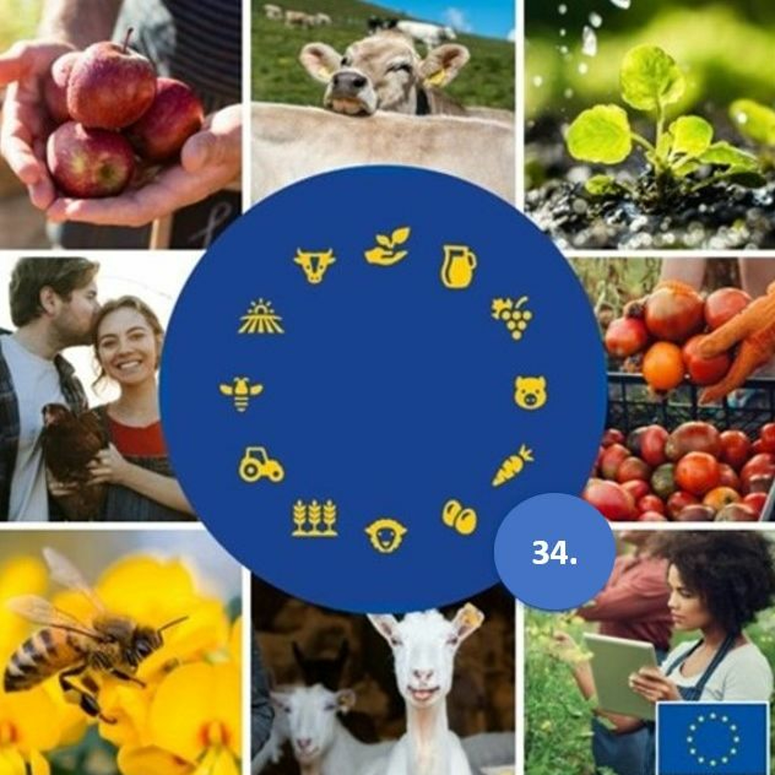 Food for Europe