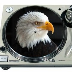 Freedom Rings!