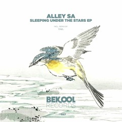 DHSA PREMIERE : Alley SA - Sleeping Under The Stars (Original Mix)