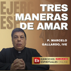 Tres maneras de Amar - P. Marcelo Gallardo