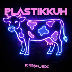 Plastikkuh