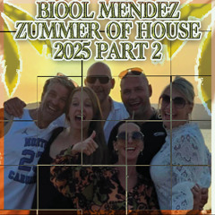 DJ BIOOL - ZUMMER OF HOUSE 2025 part 2 (music from Ibiza)