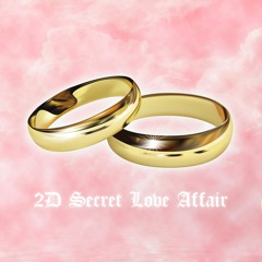 2D Secret Love Affair