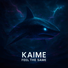 Feel The Same
