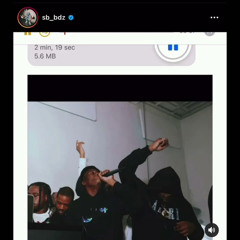 Shawny BinLaden - Teenage Fever  (UNRELEASED)
