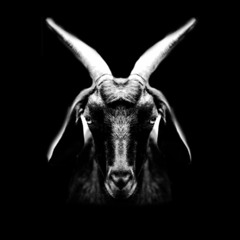 Come On Kylie LEAK 2020 DILON