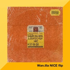 Hair Down (Wan.illa NICE flip)