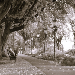 "Le calme du soir", par Chartrand Saint-Louis; Mixage, rév. et sonorisation par Albert [lien vidéo]