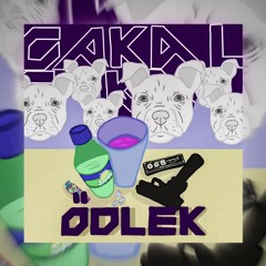 Çakal - Ödlek