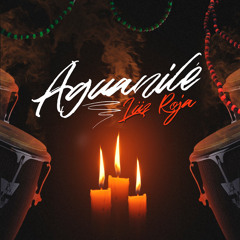Aguanile - Lüz Roja (Prod. by Einsteins LA record)