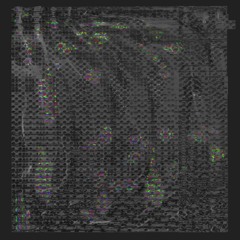 Lyeform 'Neon Belly' (EP Sampler) (FT029)