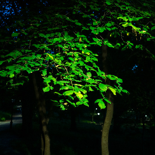 023 Larry Termite: Blissed Out on the Fringe