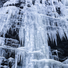 Freezing cold freestyle