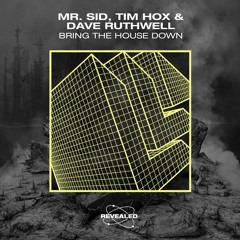 Mr. Sid, Tim Hox & Dave Ruthwell - Bring The House Down (Radio Edit)