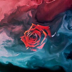 SAINT JHN & Imanbek - Roses (Psychedelic Rain remix)