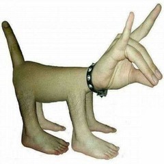qrollopleb