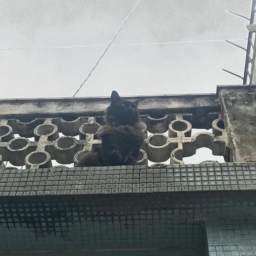 olho pro céu sem medo