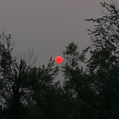 Roomy Soul (feat. Irene & Aiden Blankenship) [prod. mileslepretre]