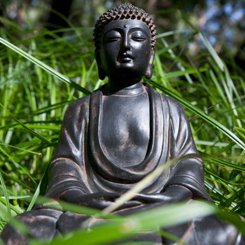 Best of Awake in the World: Buddhas On Blades Of Grass