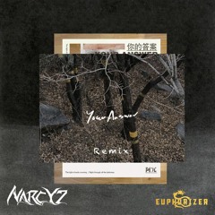 A Rong - Your Answer(你的答案) (Narcyz & Euphorizer Remix)