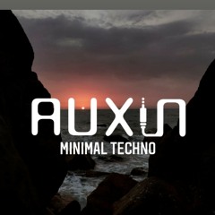 AUXIN - MinimalTechno - Brain Train.mp3