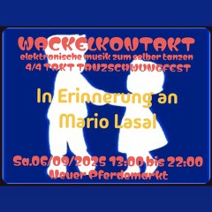 wackelkontakt.2025