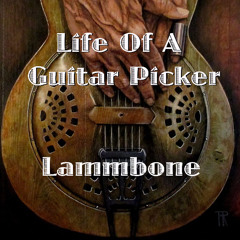 Life Of A Guitar Picker