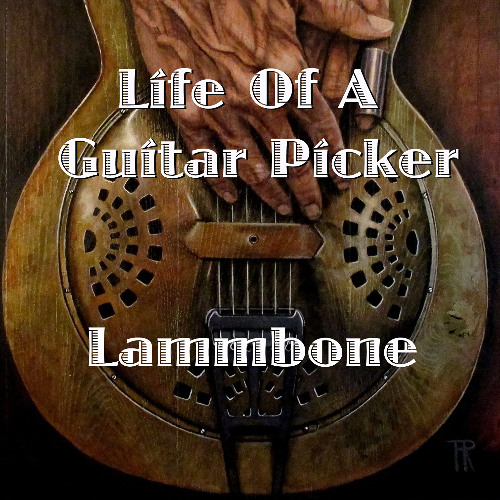 Life Of A Guitar Picker