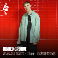 Junked Groove w/ Junky Palms - Aaja channel 2 - 25 02 25