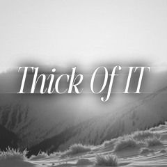 Thick Of It (EDM(?))