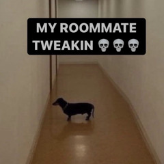 oh and wait and they just leaked it - wifiskeleton cover