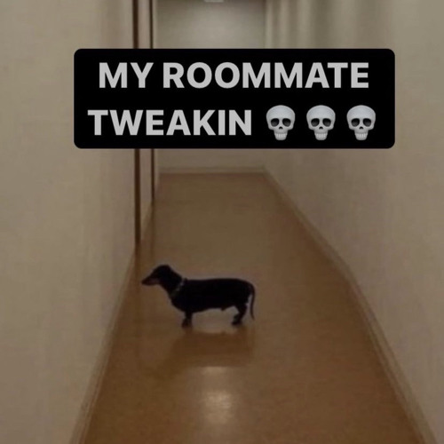 oh and wait and they just leaked it - wifiskeleton cover