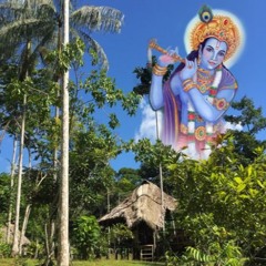 Appreciate Krishna - feat. Acarya Nistha (Hare Krishna Mahamantra)