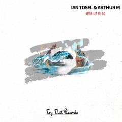 ᴛᴛʀ048 // Ian Tosel & Arthur M - Never Let Me Go (Radio Edit)>>OUT NOW<<