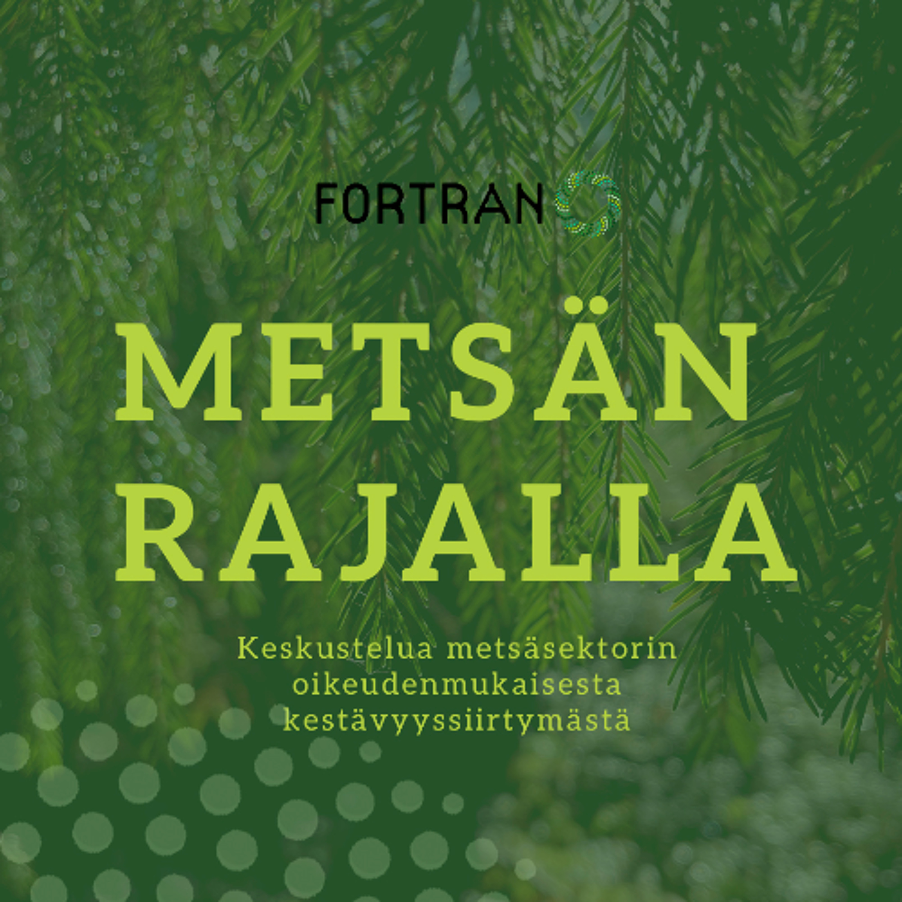 Miten yhdistää arvot ja tutkittu tieto seurakunnan metsäpäätöksissä, 5.jakso Metsän rajalla -podcast