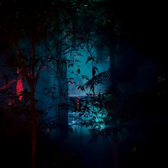 Choongum live @ Woodburnia 2025