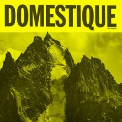 The Dianas - Domestique