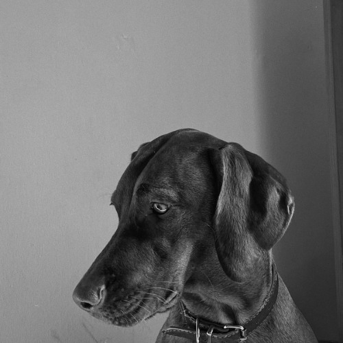 electro_set_April_1_2020