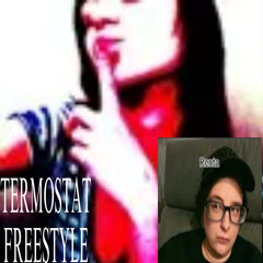 termostat freestyle