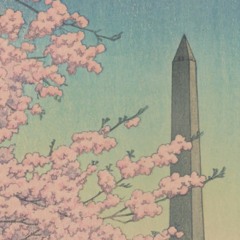blooming of the sakura