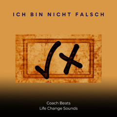 ICH BIN NICHT FALSCH